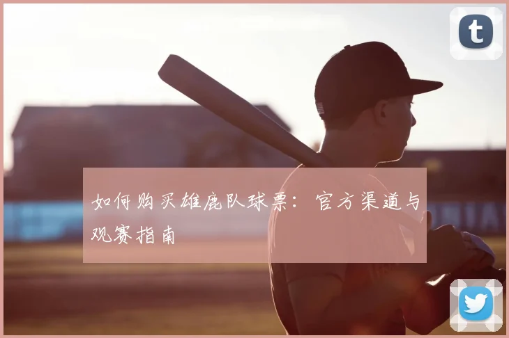 如何购买雄鹿队球票：官方渠道与观赛指南